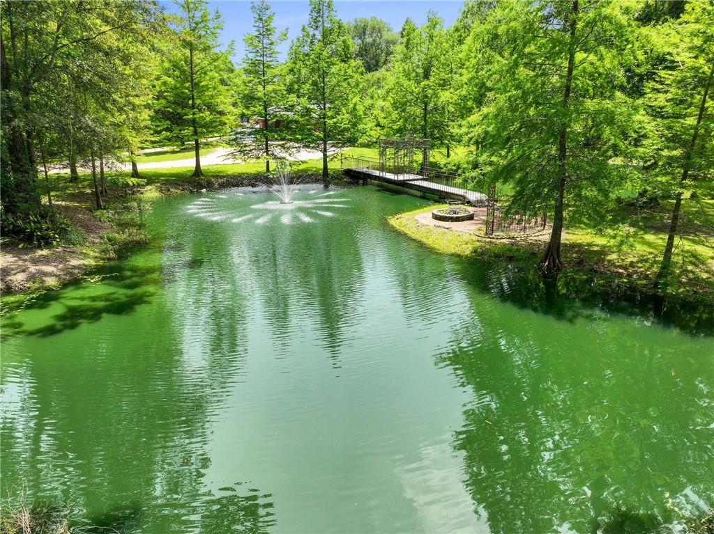 25447 Juban Road Denham Springs, LA 70726 - Photo 37 of 38