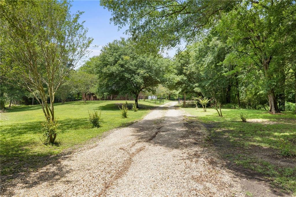 25447 Juban Road Denham Springs, LA 70726 - Photo 4 of 38