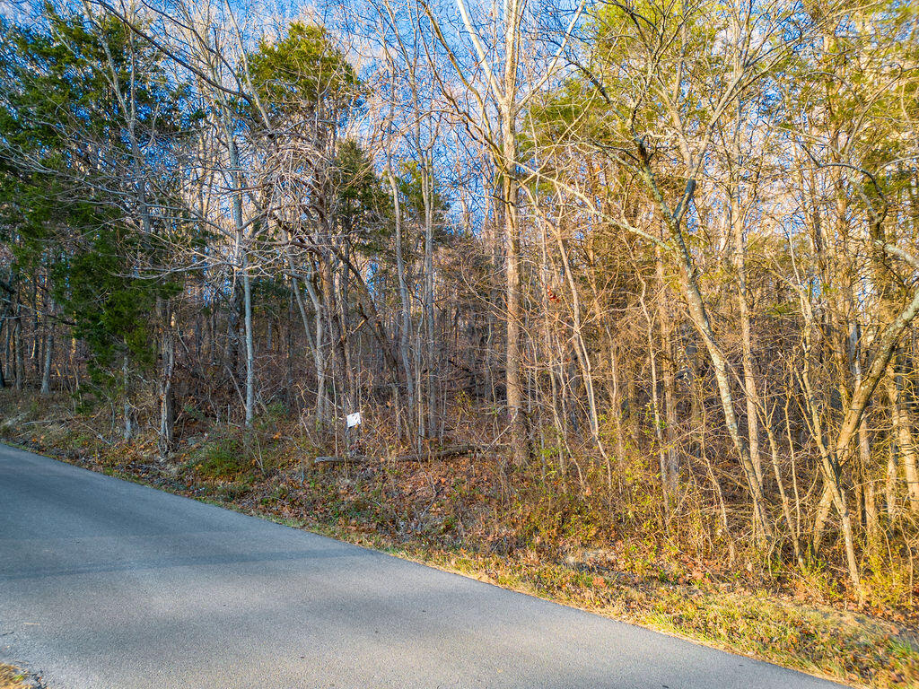 2.79 Bandy Road, Unit 6 Greeneville, TN 37743 - Photo 1 of 8 08