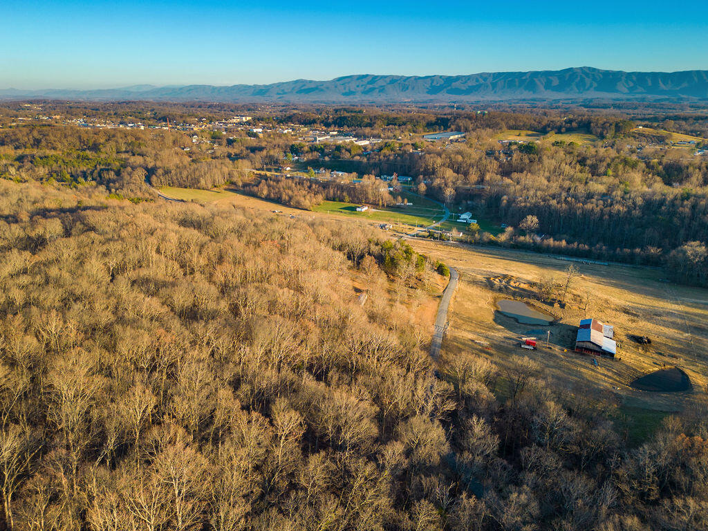 2.79 Bandy Road, Unit 6 Greeneville, TN 37743 - Photo 3 of 8 10