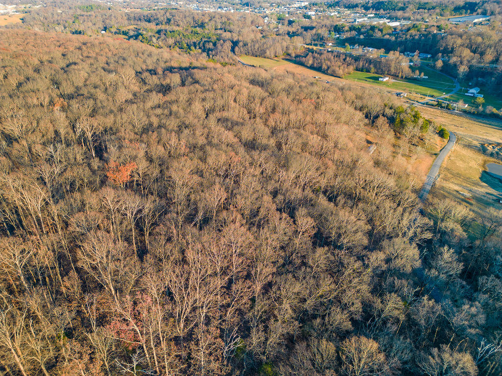 2.79 Bandy Road, Unit 6 Greeneville, TN 37743 - Photo 4 of 8 11