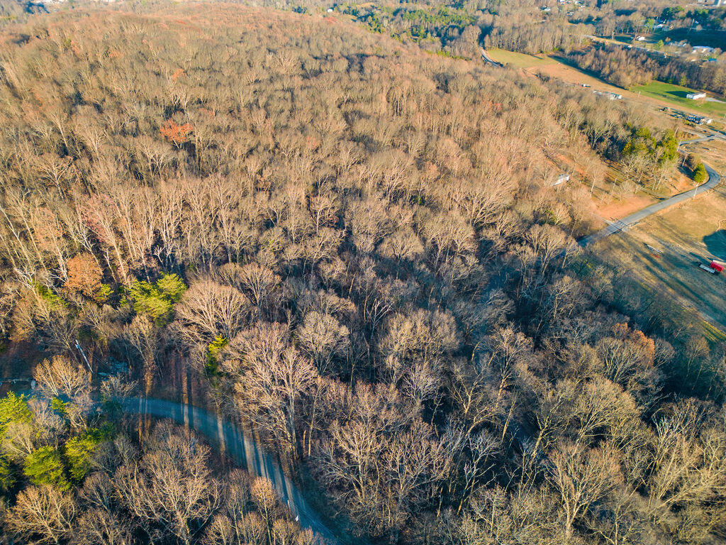 2.79 Bandy Road, Unit 6 Greeneville, TN 37743 - Photo 5 of 8 12
