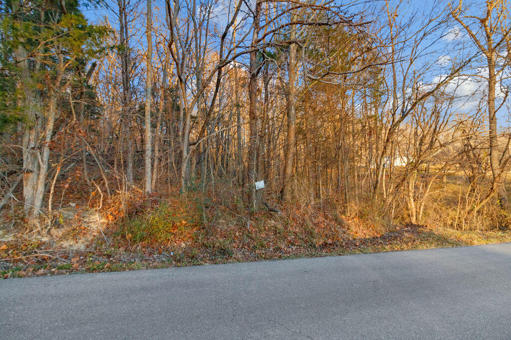 2.79 Bandy Road, Unit 6 Greeneville, TN 37743 - Photo 7 of 8 14