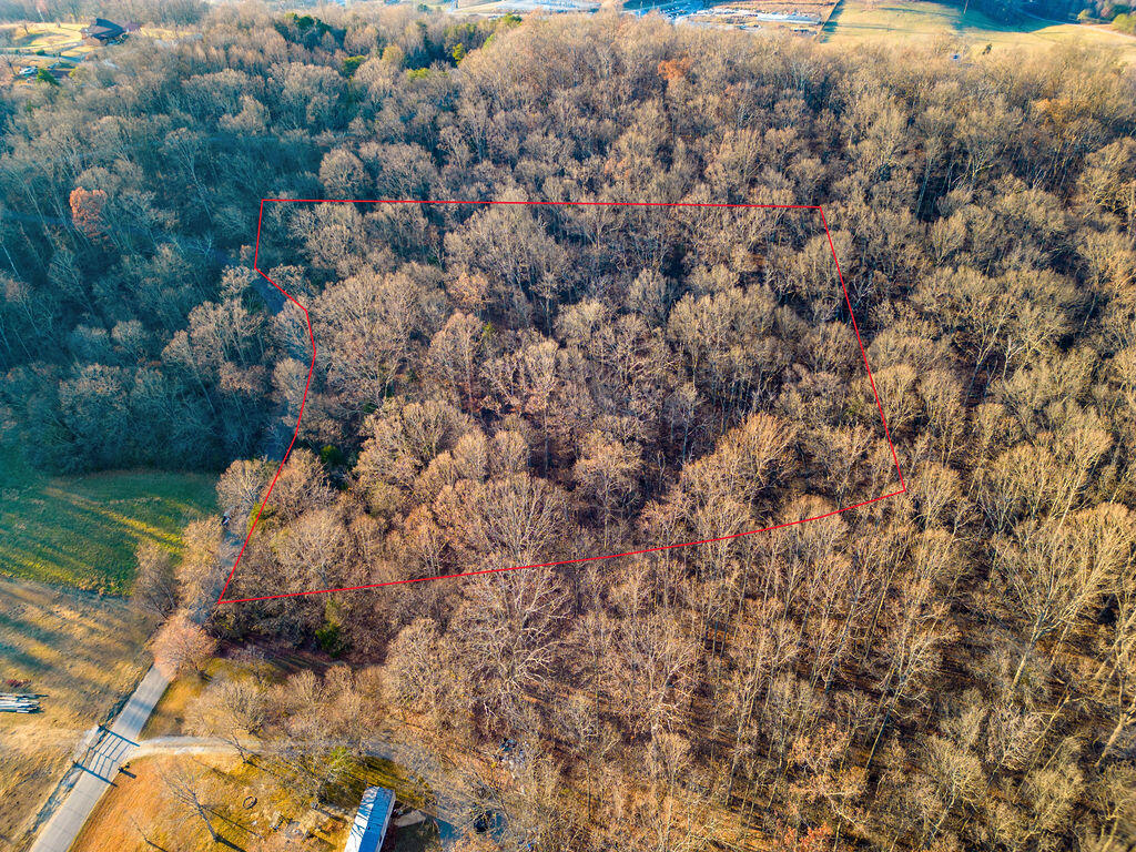 2.79 Bandy Road, Unit 6 Greeneville, TN 37743 - Photo 8 of 8 PropertyOutline