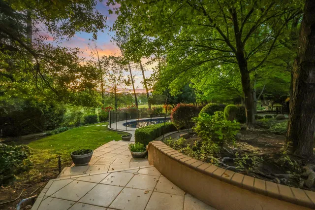 a view of a garden with plants and large trees