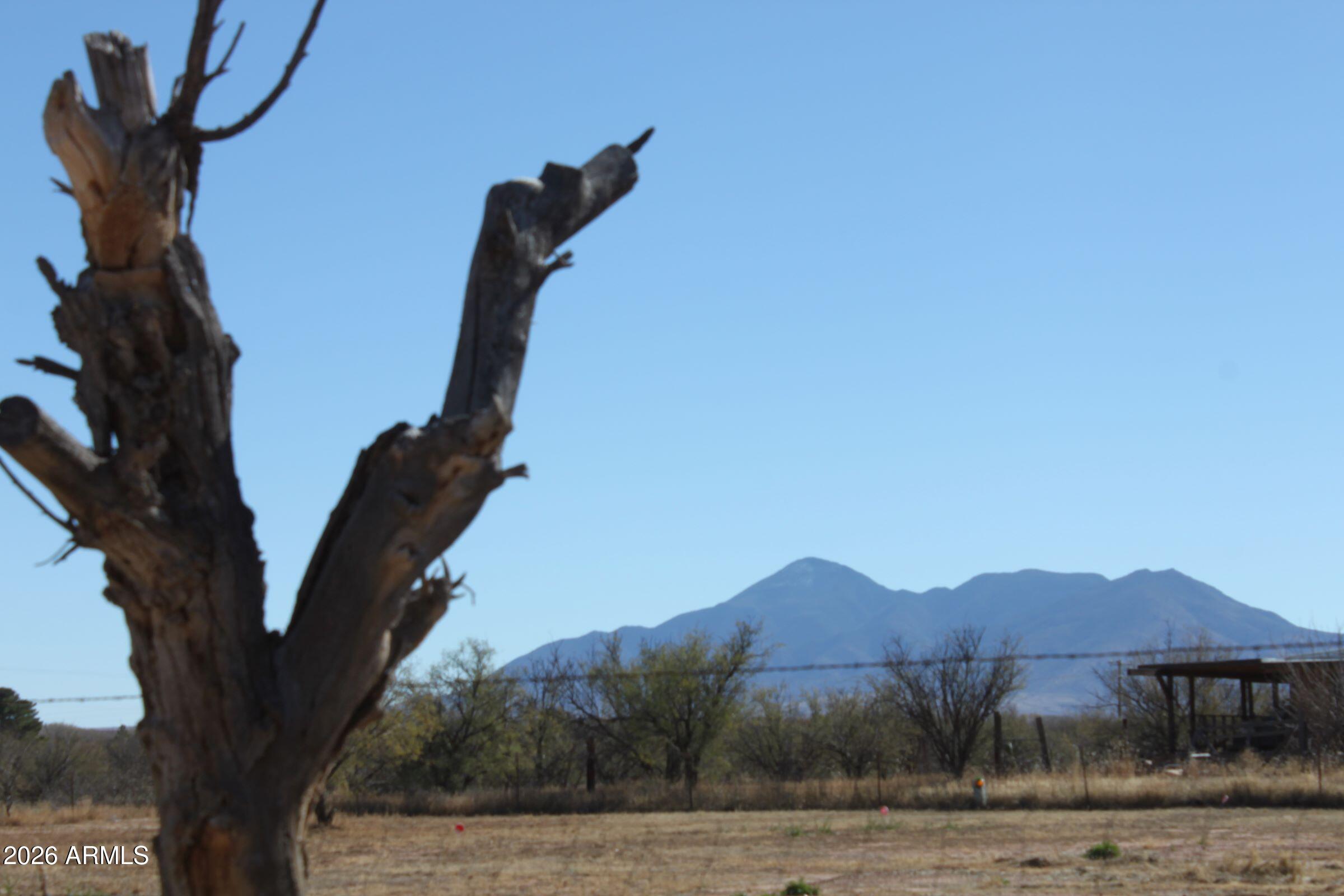 9073 South O'Neil Road Hereford, AZ 85615 - Photo 3 of 7 a view of a house with a mountain and a forest
