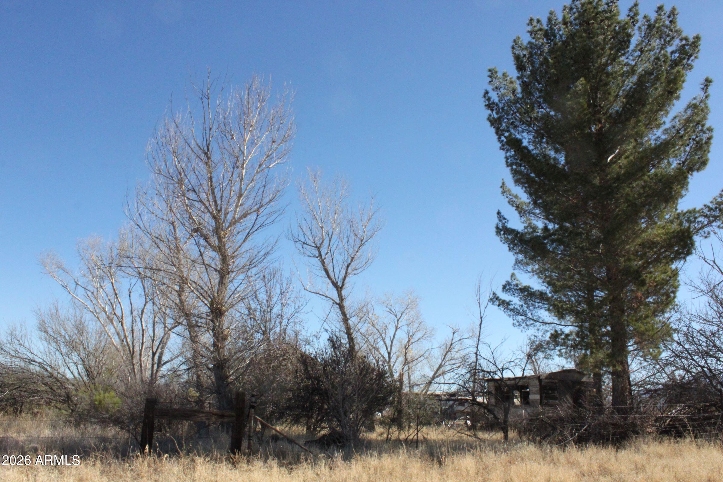 9073 South O'Neil Road Hereford, AZ 85615 - Photo 7 of 7 a backyard of a house with lots of green space