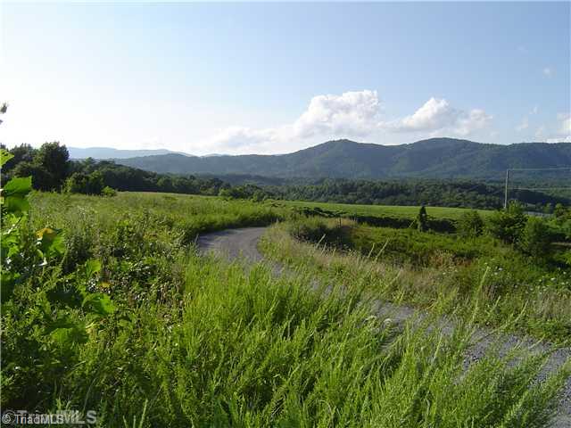 Lot #1 Swaringen Road Traphill, NC 28685 - Photo 1 of 7 Land/Lot.