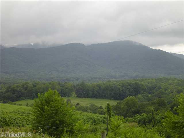 Lot #1 Swaringen Road Traphill, NC 28685 - Photo 2 of 7 Land/Lot.