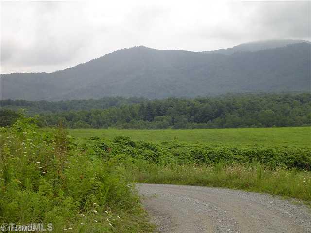 Lot #1 Swaringen Road Traphill, NC 28685 - Photo 3 of 7 Land/Lot.