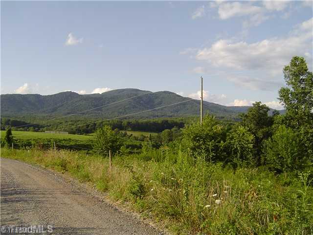 Lot #1 Swaringen Road Traphill, NC 28685 - Photo 4 of 7 Land/Lot.