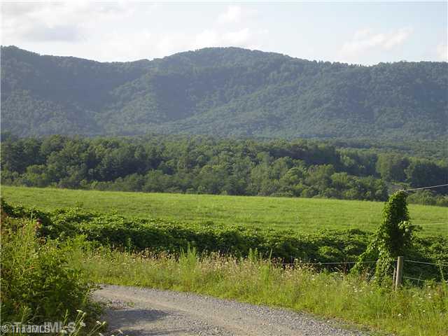 Lot #1 Swaringen Road Traphill, NC 28685 - Photo 5 of 7 Land/Lot.