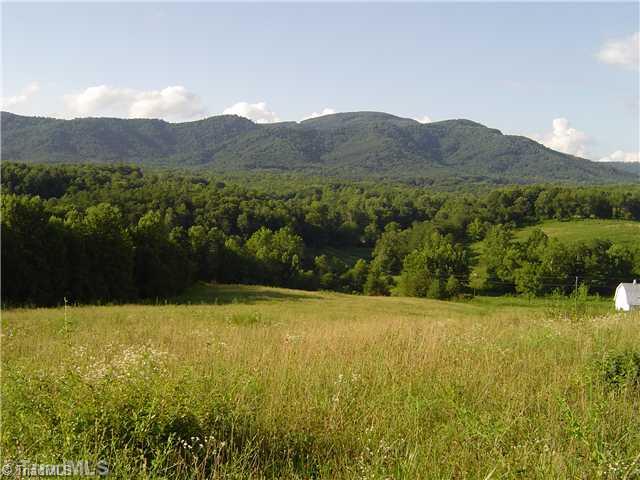 Lot #1 Swaringen Road Traphill, NC 28685 - Photo 6 of 7 Land/Lot.