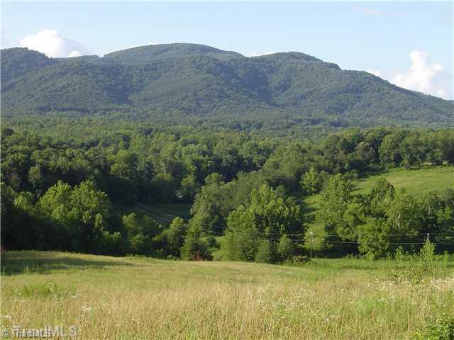 Lot #1 Swaringen Road Traphill, NC 28685 - Photo 7 of 7 Land/Lot.