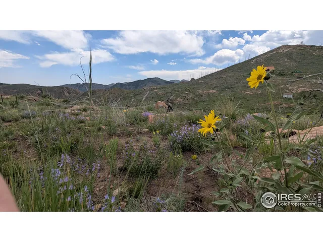a black and white photo of a city