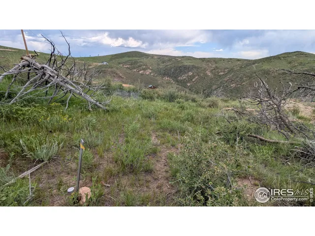 a view of a lake from a yard
