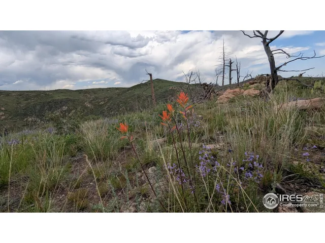 a black and white photo of a lake
