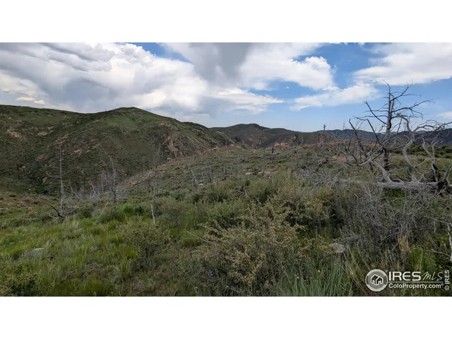 a black and white photo of a city