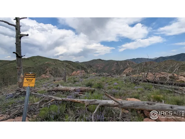 a black and white photo of a park