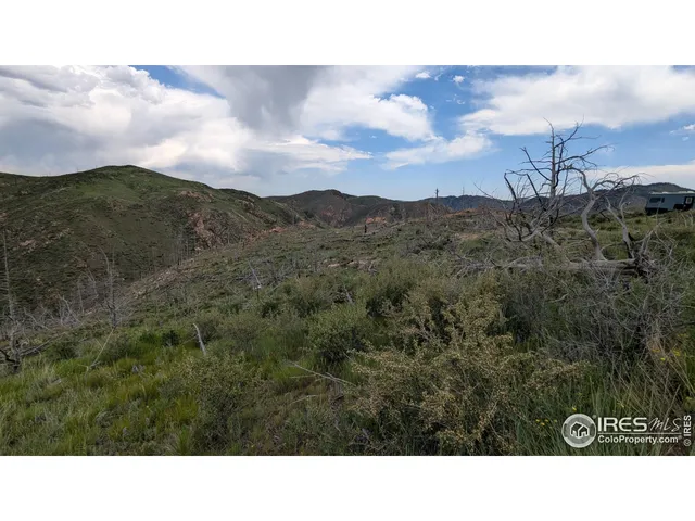 a open area with mountains in the background