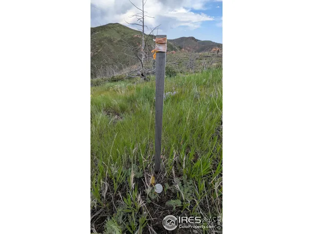 a black and white photo of a house