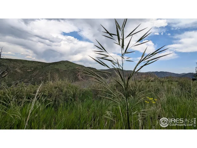 a black and white photo of a house