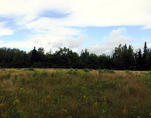 Lot 51 Front Ridge Road Houlton, ME 04730 - Photo 11 of 14 Land.