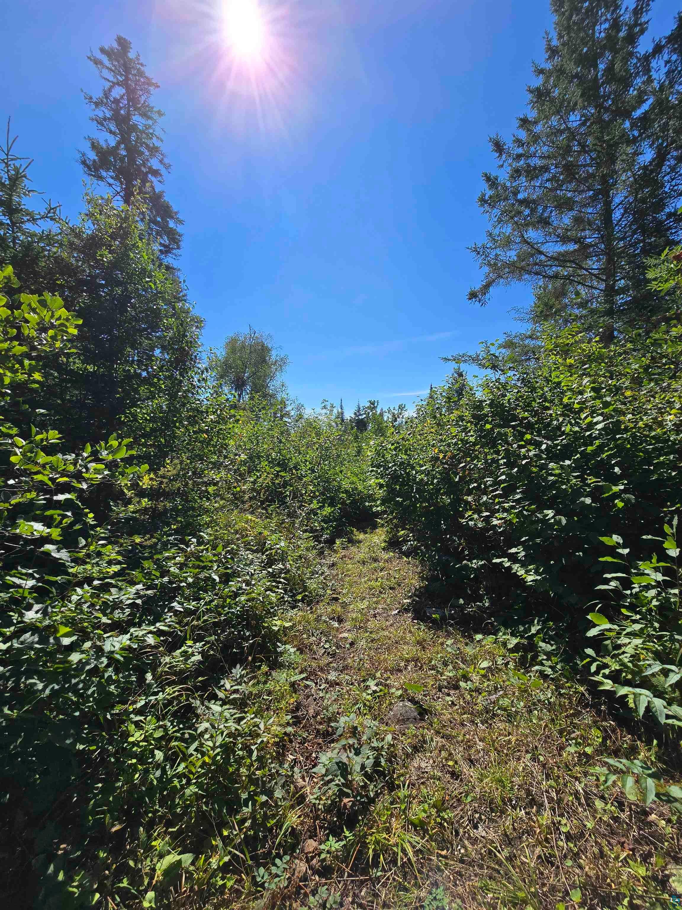 4 Steam Engine Road Lutsen, MN 55612 - Photo 20 of 29 Gallery Image 20