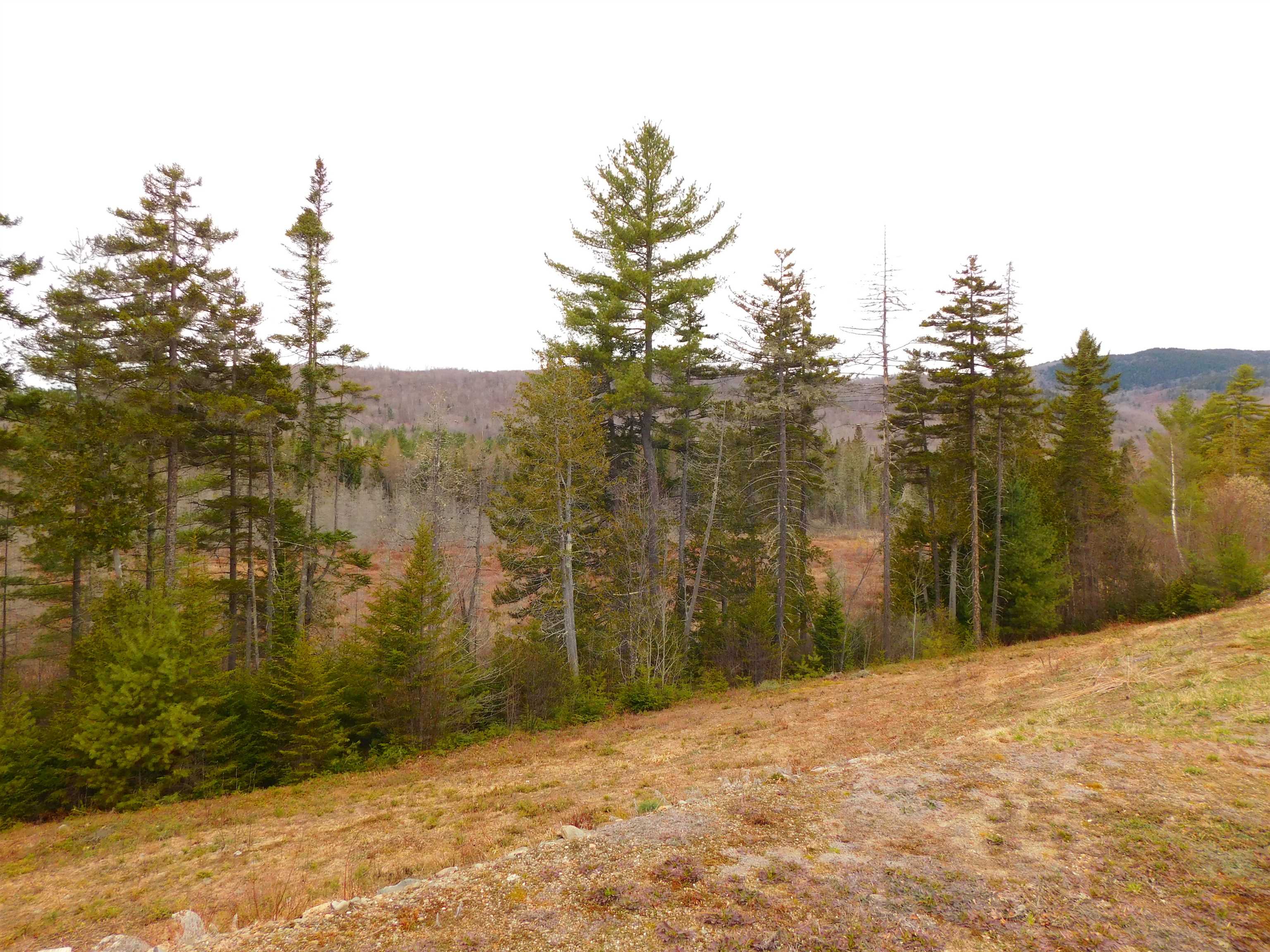 63 Stump Road Errol, NH 03579 - Photo 15 of 49