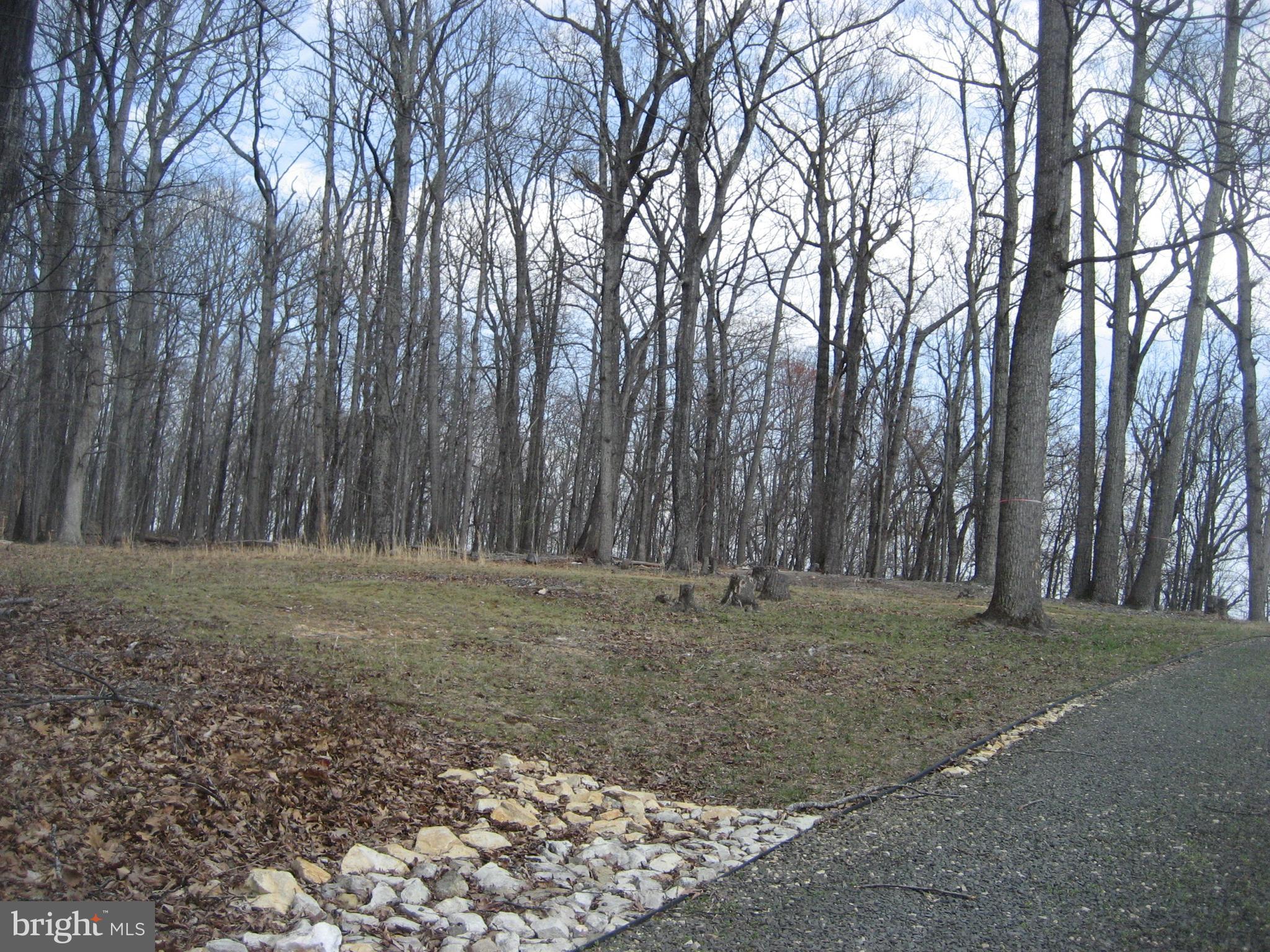 10504 Warland Road Marshall, VA 20115 - Photo 54 of 55 view