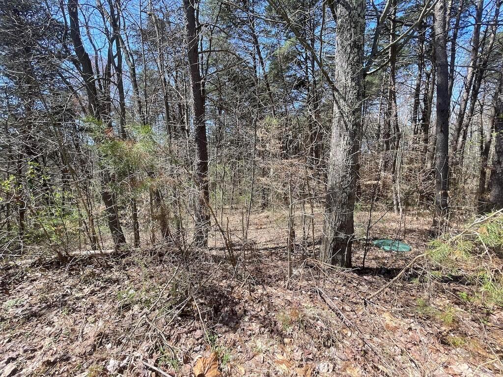 19707 Rauber Road Logan, OH 43138 - Photo 12 of 80 IMG_0768