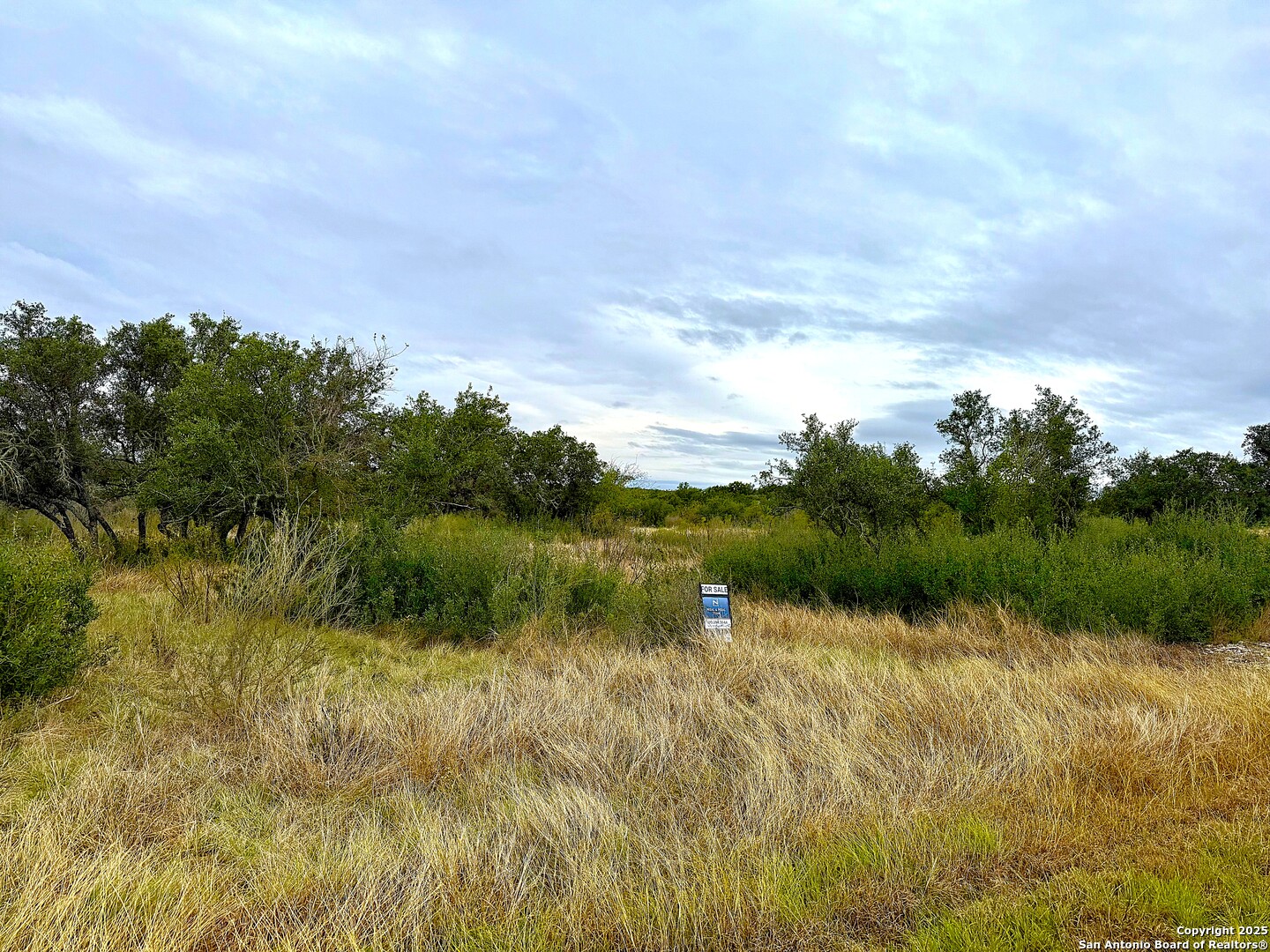 261 Grand Ranch Hondo, TX 78861 - Photo 4 of 7 a view of lake with green space