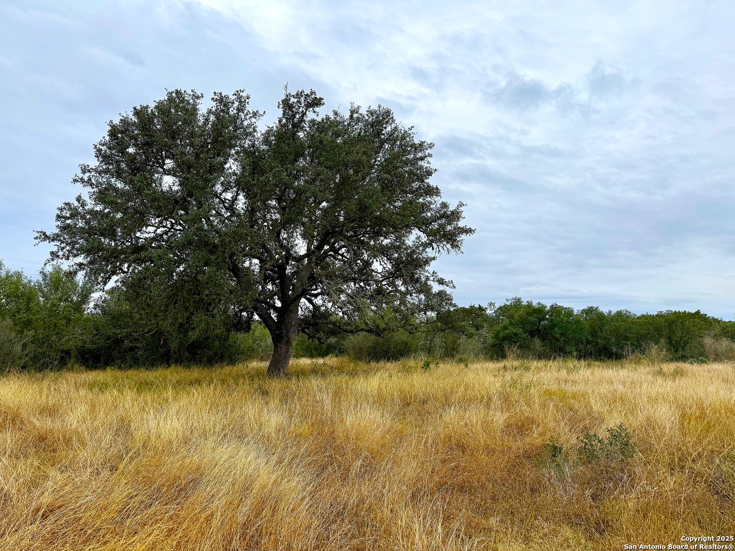 261 Grand Ranch Hondo, TX 78861 - Photo 5 of 7 a view of lake