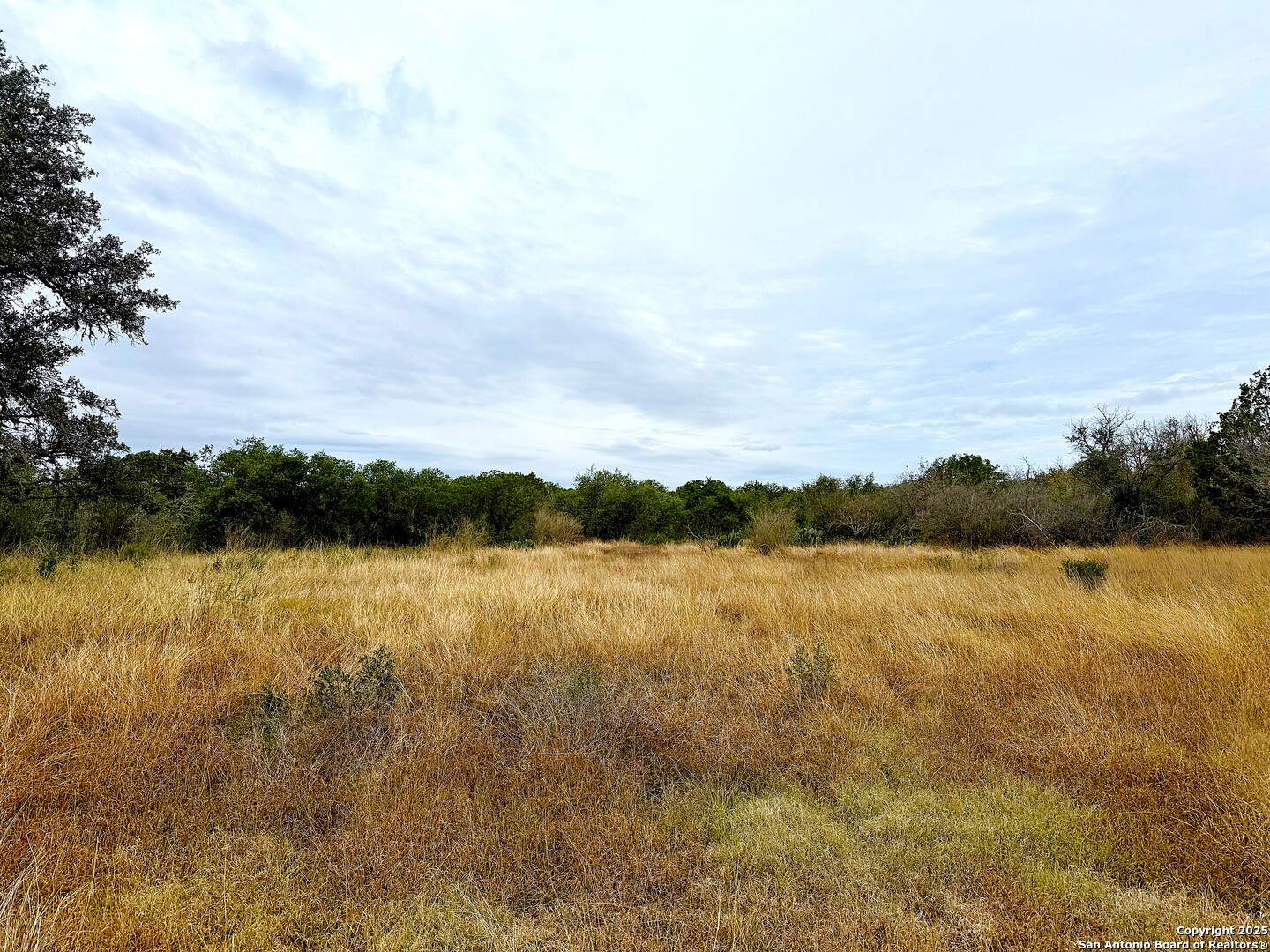 261 Grand Ranch Hondo, TX 78861 - Photo 6 of 7 a view of a lake and mountain view