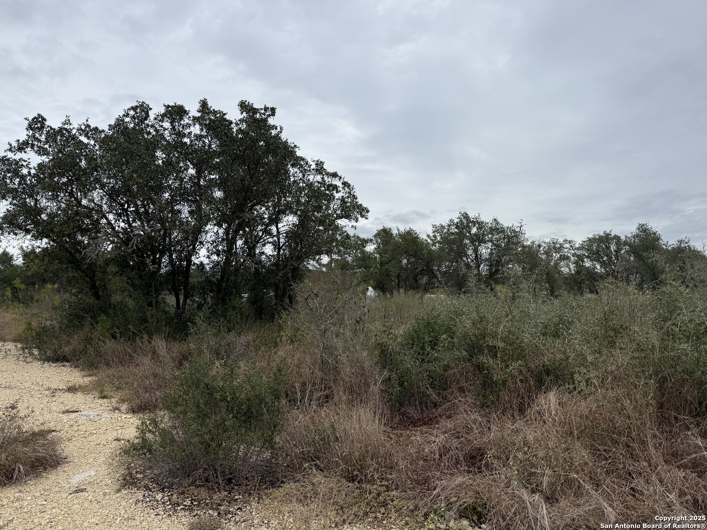261 Grand Ranch Hondo, TX 78861 - Photo 7 of 7 a view of a forest