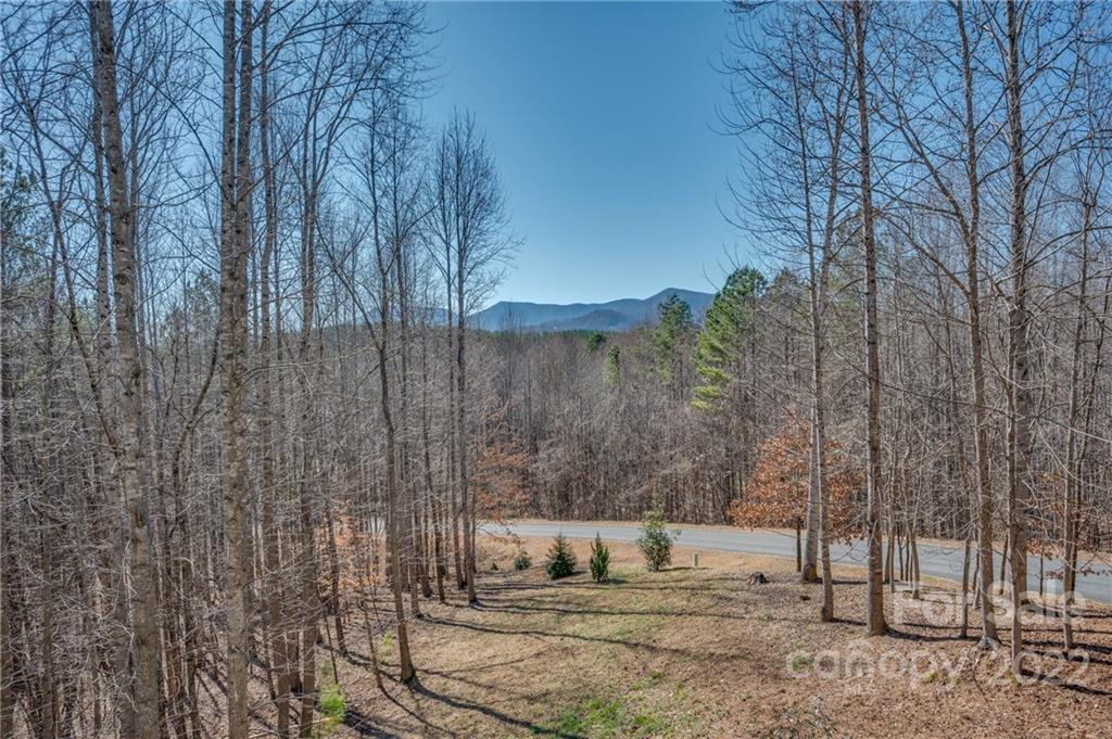 103 Christopher Road Tryon, NC 28782 - Photo 13 of 45 a view of yard from a corridor