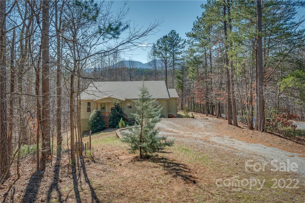 103 Christopher Road Tryon, NC 28782 - Photo 41 of 45 a view of a yard with plants and trees