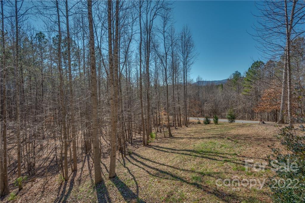 103 Christopher Road Tryon, NC 28782 - Photo 44 of 45 a view of a backyard of the house
