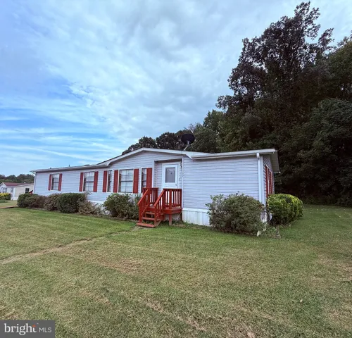 a view of a yard in front of a house with plants and large tree