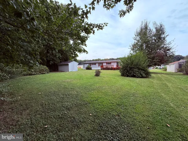 a view of a field of grass and trees