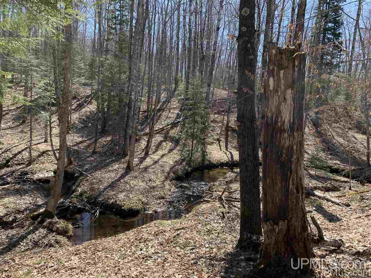 16364 Indian Cemetery Road Lanse, MI 49946 - Photo 45 of 47 Gallery Image 45
