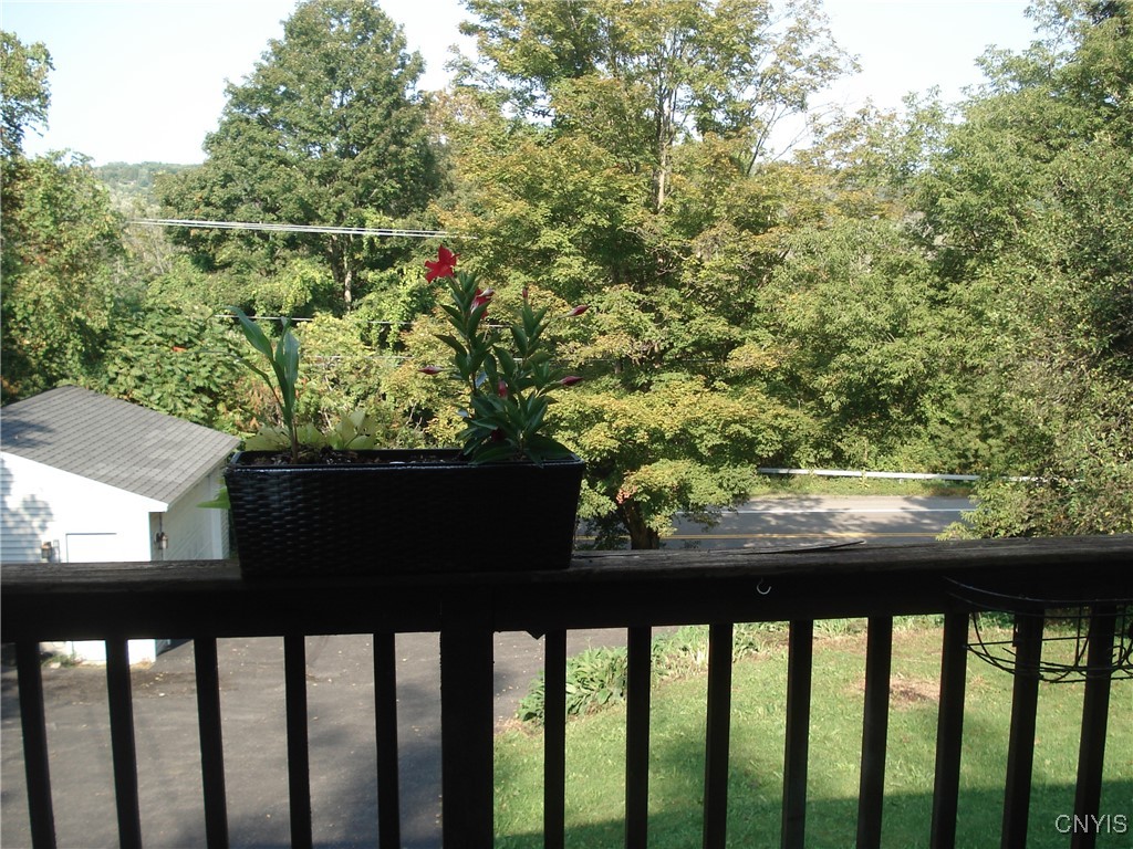 3993 Oran Delphi Road Manlius, NY 13104 - Photo 11 of 22 view from front deck