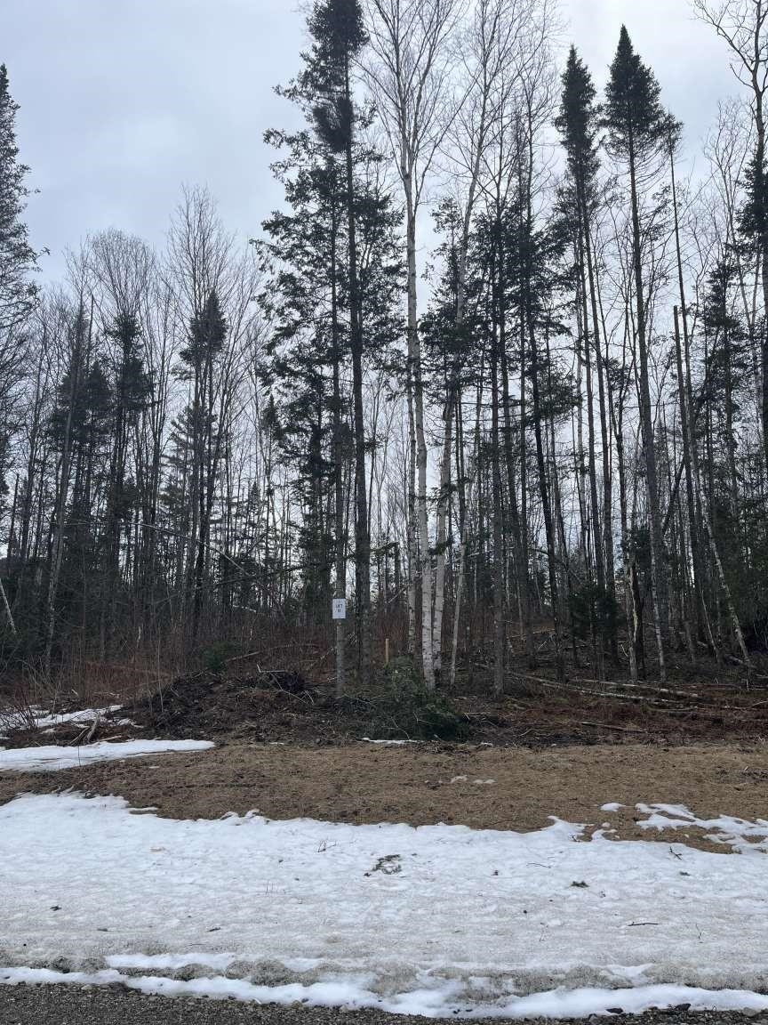 Lot 10 Us Route Stratford, NH 03590 - Photo 12 of 12