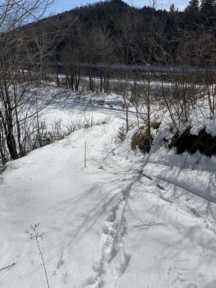 Lot 10 Us Route Stratford, NH 03590 - Photo 10 of 12