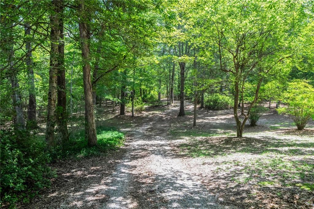 81011 Bob Baxter Road Bush, LA 70431 - Photo 5 of 32