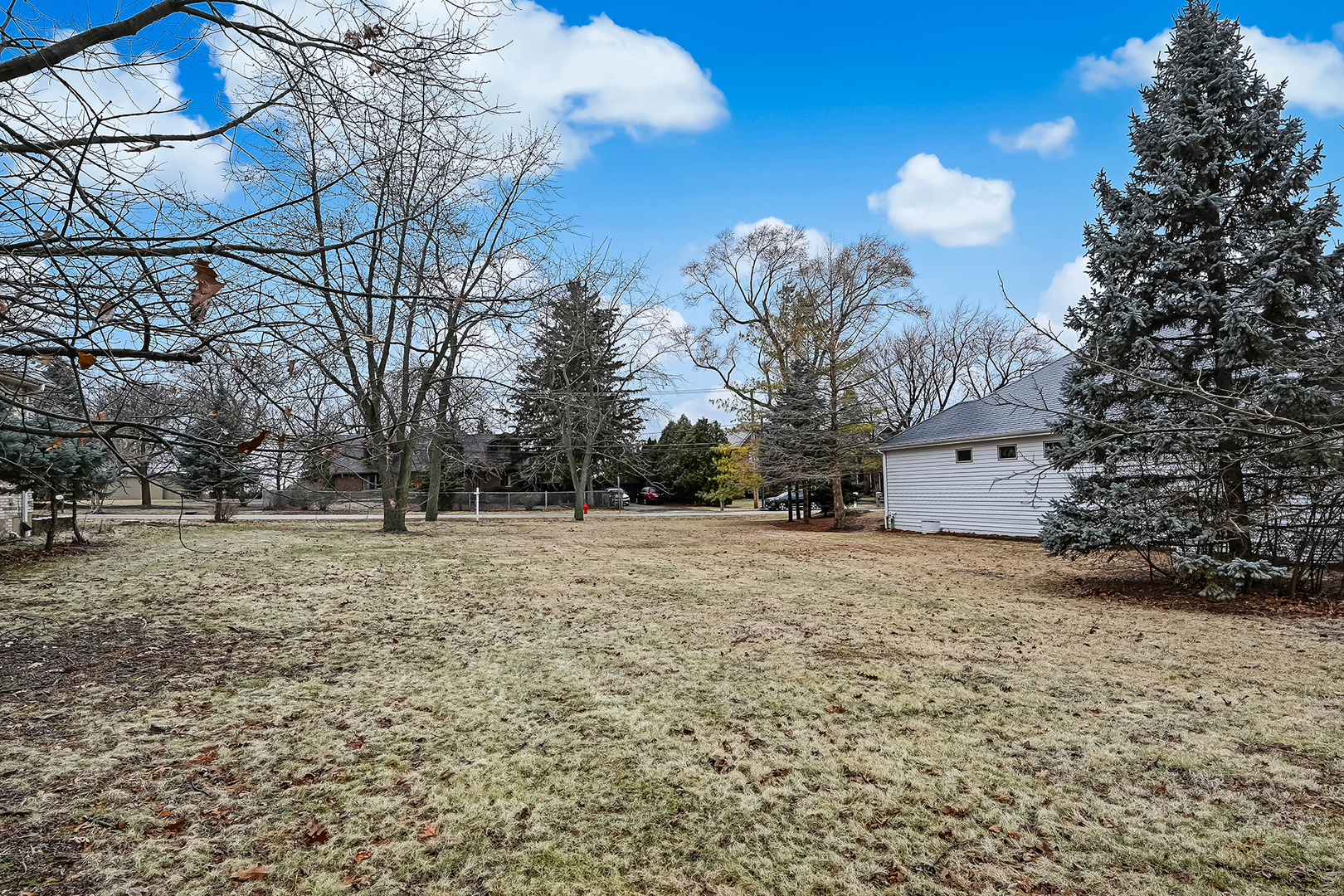 1333 South Ridge Road Willowbrook, IL 60527 - Photo 4 of 5