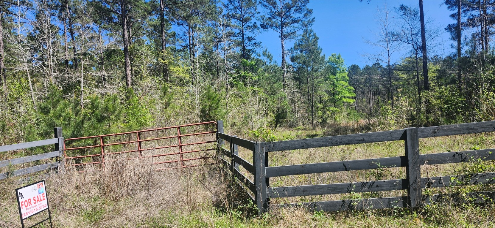 668 Wheeler Road Corrigan, TX 75939 - Photo 2 of 3 a view of a bench