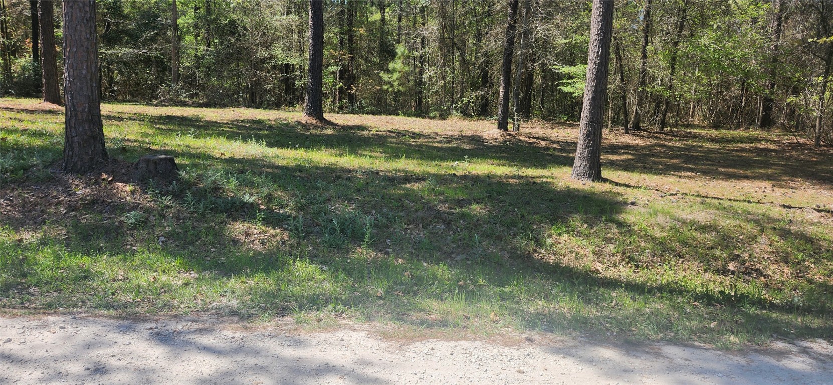 668 Wheeler Road Corrigan, TX 75939 - Photo 3 of 3 a view of a yard with plants