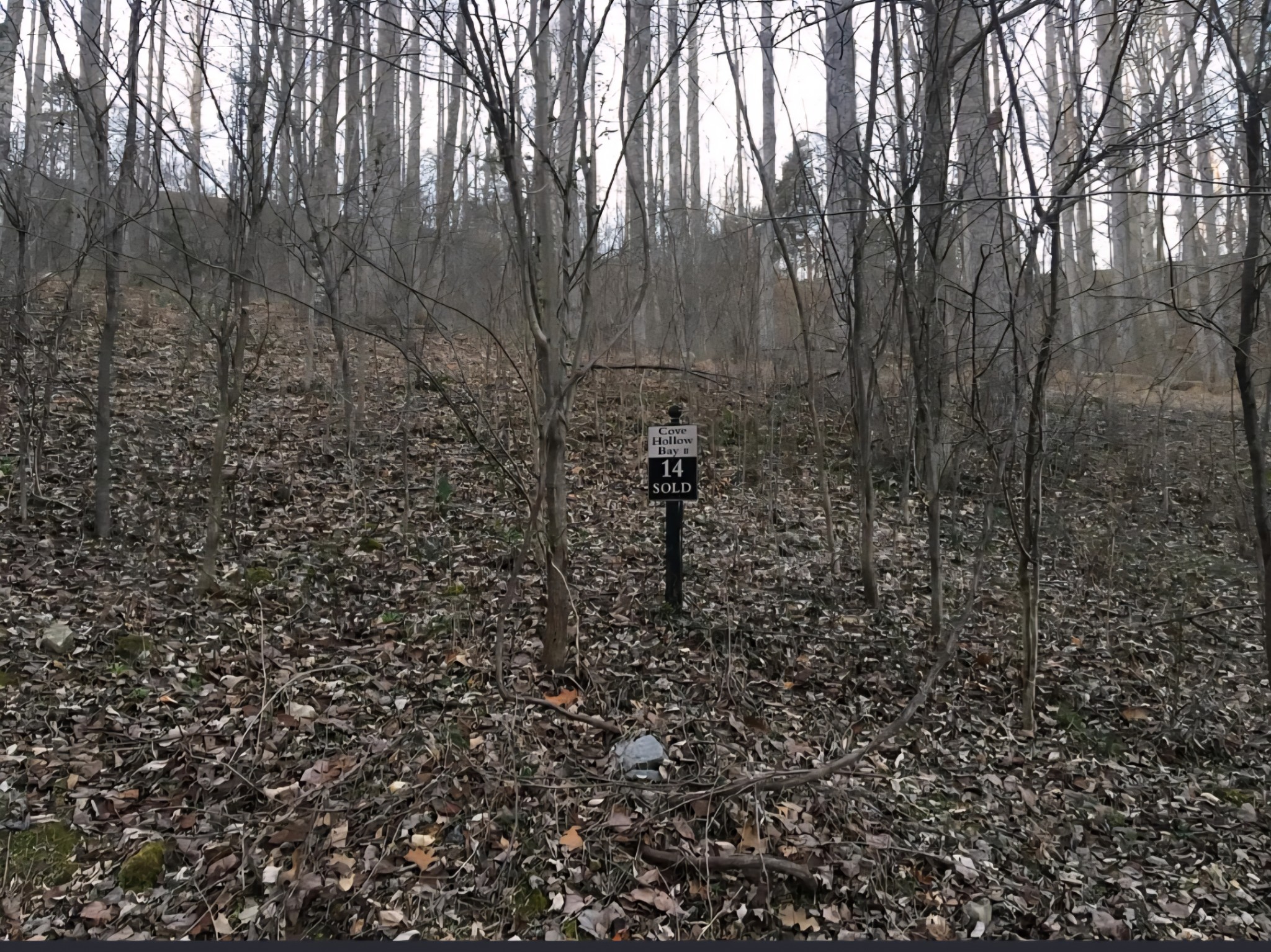 0 Bayside Drive Lancaster, TN 38569 - Photo 2 of 2 a view of a pathway of a building
