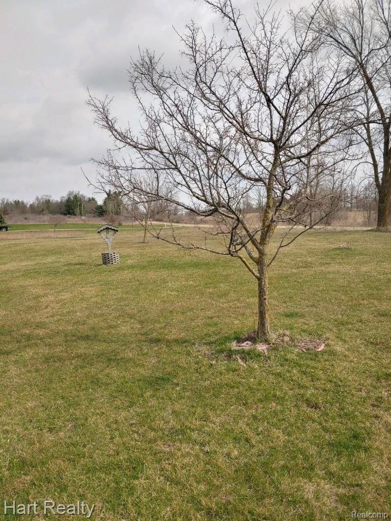 8417 Mason Road Yale, MI 48097 - Photo 24 of 27 2E0A98B1-CE2A-4582-A189-68F6733BFD42.jpeg